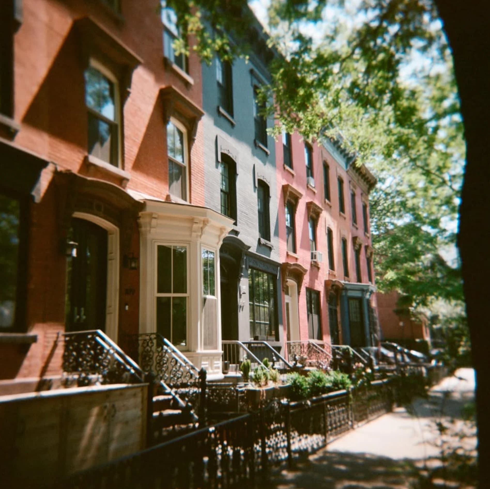 A row of painted brick townhouses in dappled sun